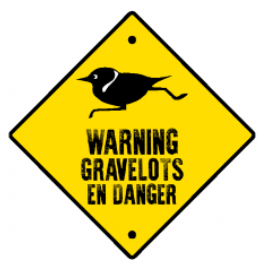 Image panneau warning Gravelots en danger