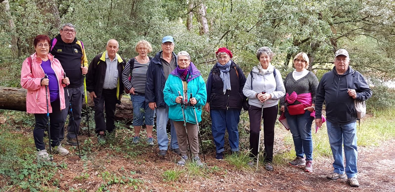 Photo balade forêt de St Trojan