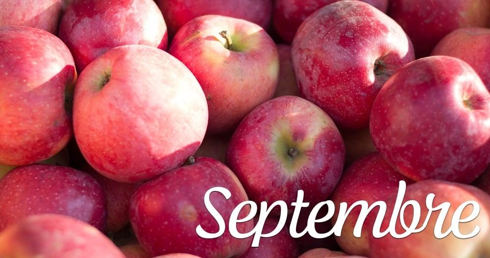 20240905 septembre