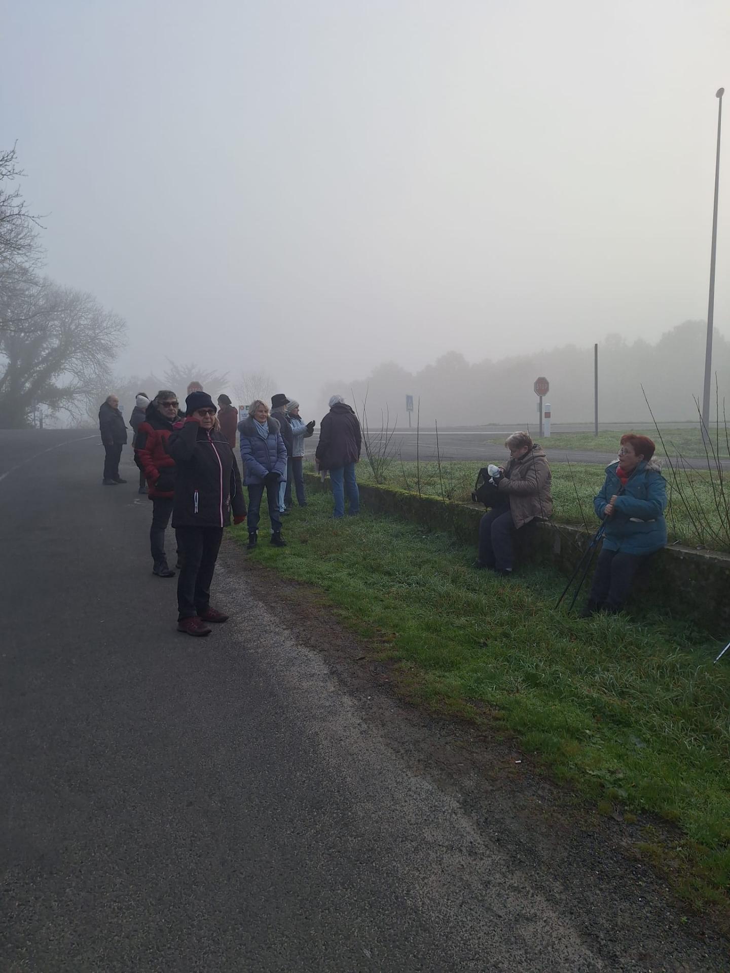 Balade dans le brouillard 20240131 0001 1