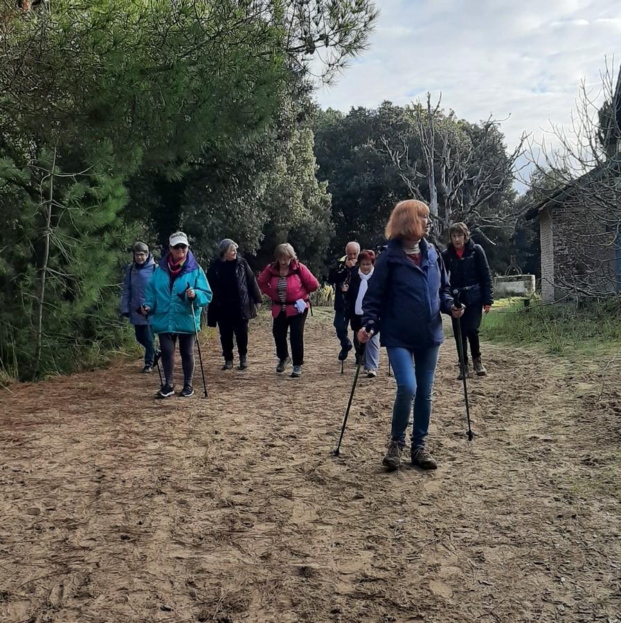 Balade du 17 11 2021 les marais groupe 2 2 