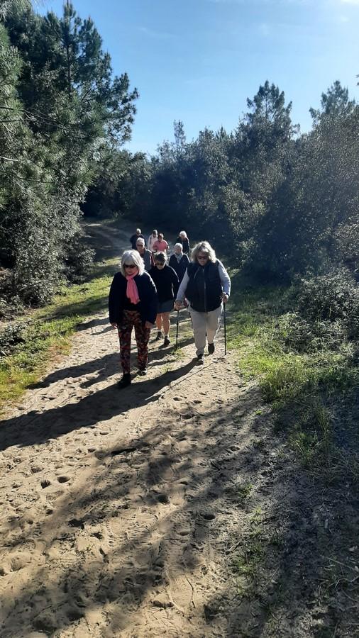 Balade foret et plage le 3 05 1