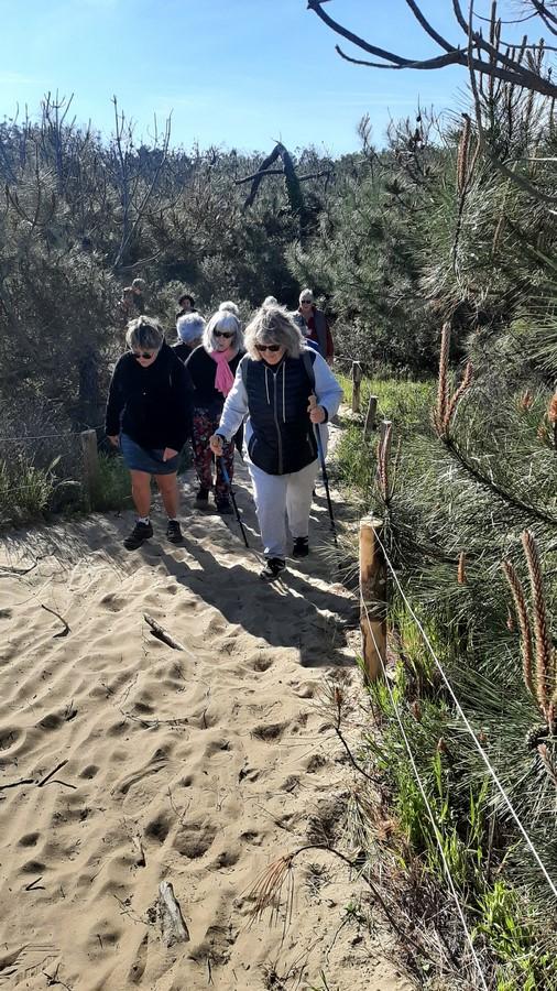 Balade foret et plage le 3 05 10
