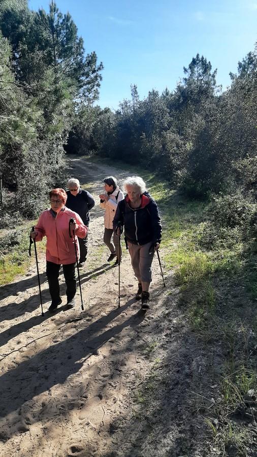 Balade foret et plage le 3 05 11