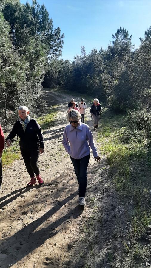 Balade foret et plage le 3 05 12