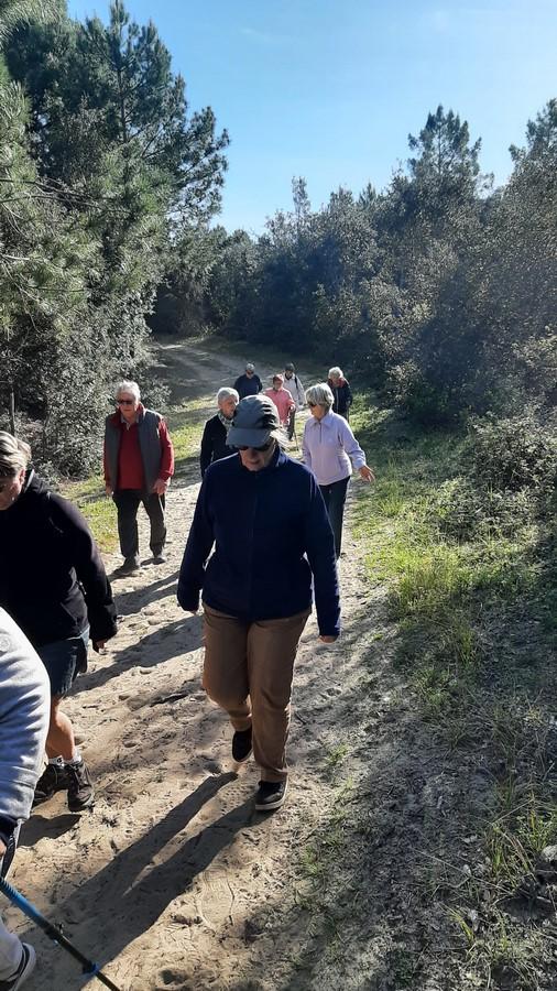 Balade foret et plage le 3 05 13