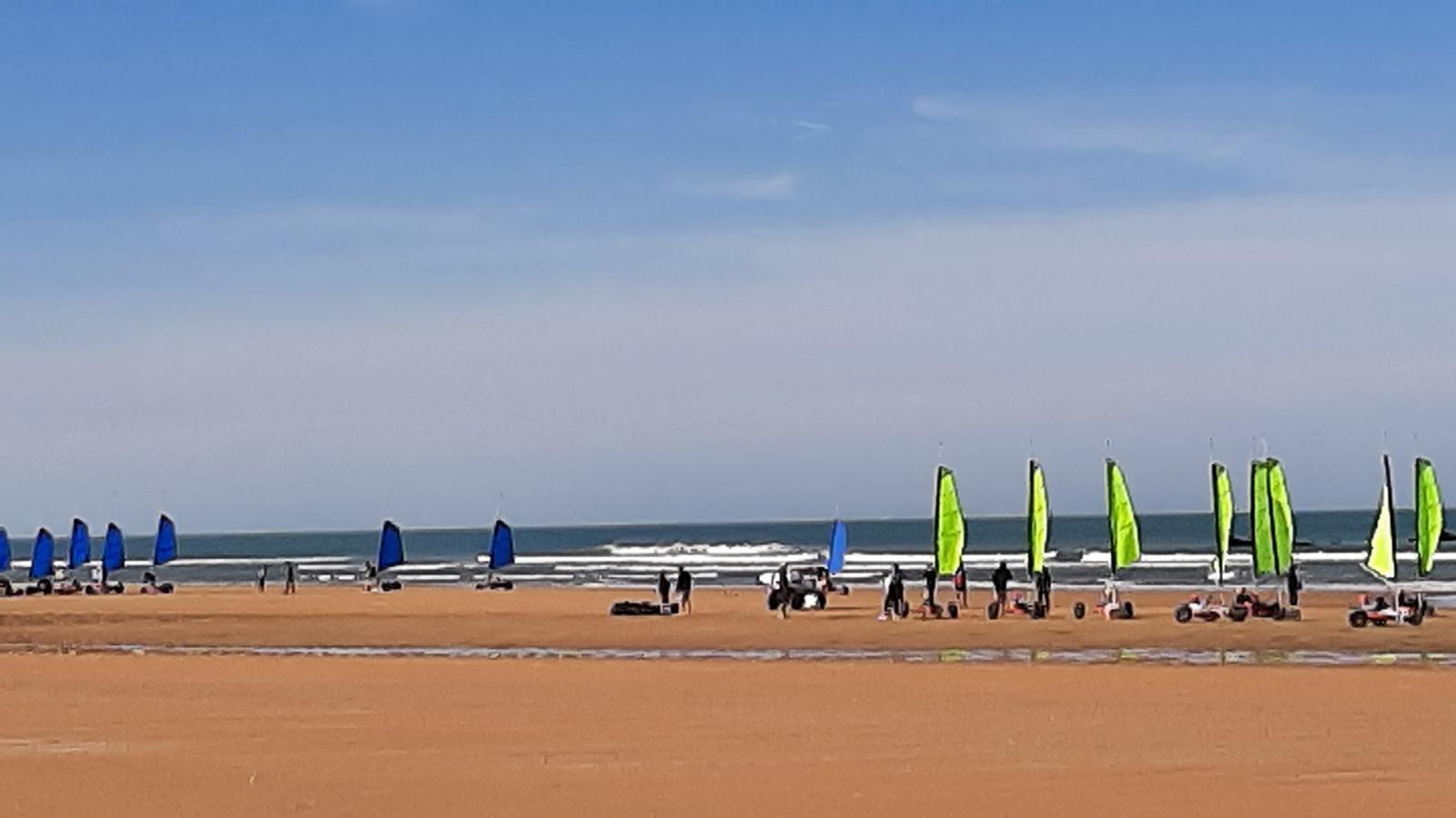 Balade foret et plage le 3 05 7