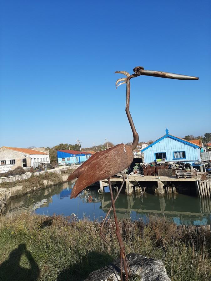 Balade le chateau d oleron le 10 11 10