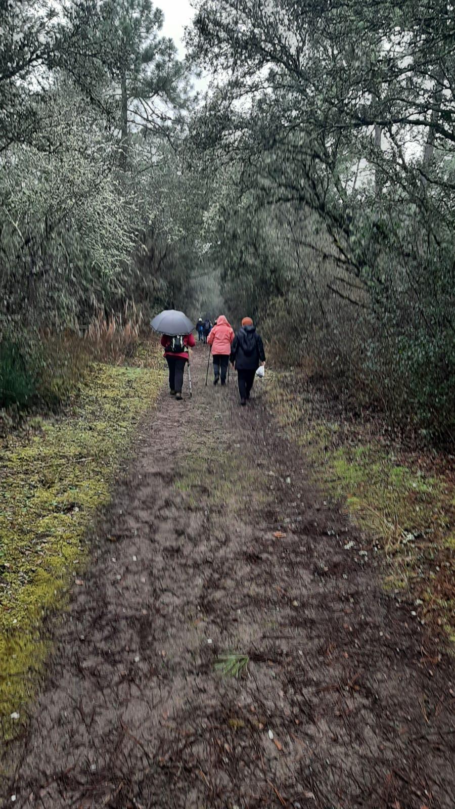 Balade dans la forêt le mercredi 22