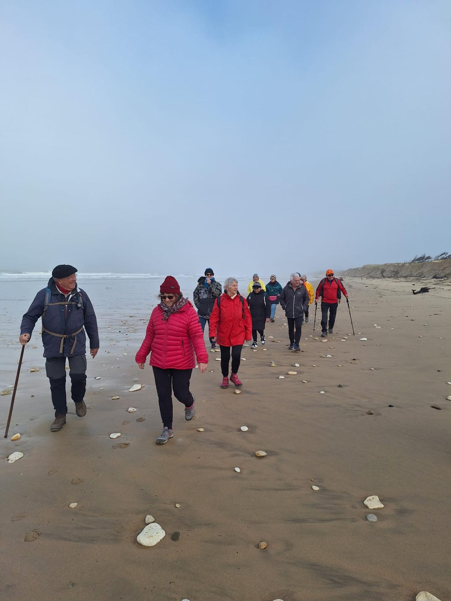 La balade des 18 tortues le 13 mars dans le brouillard wa0000