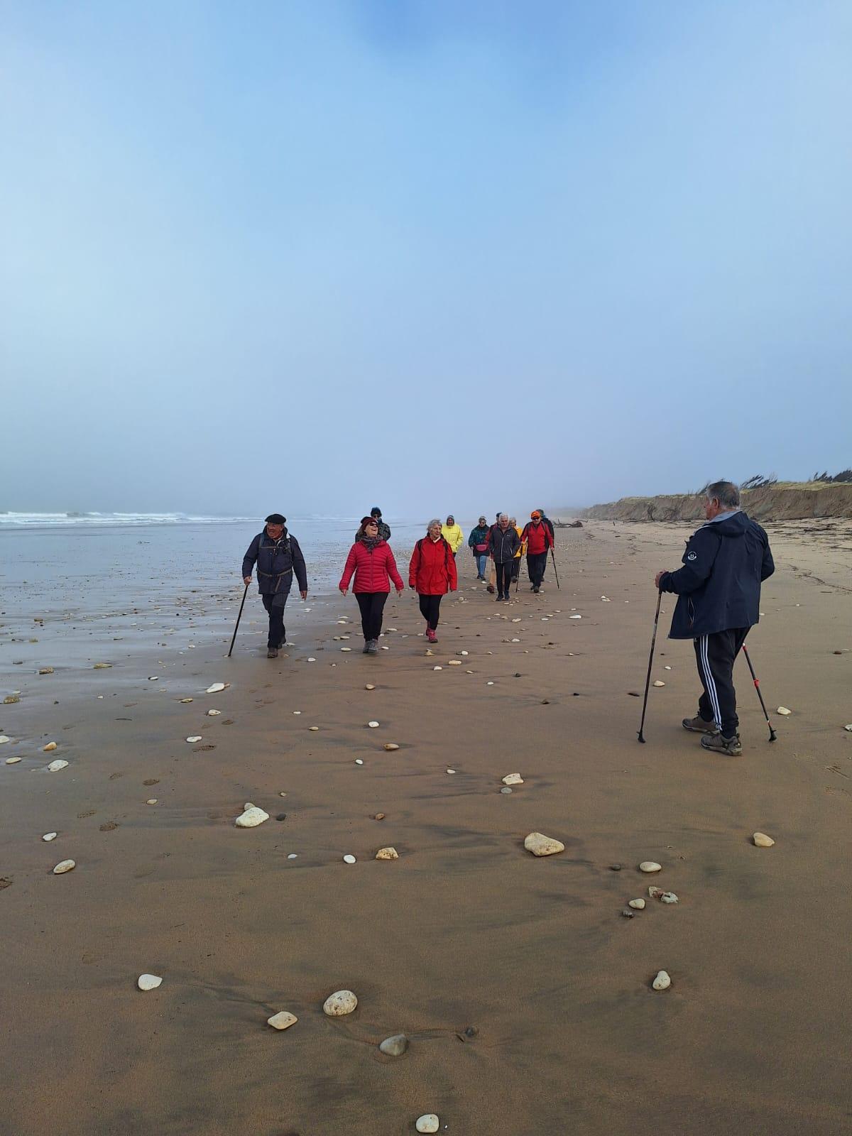 La balade des tortues le 13 mars dans le brouillard wa0001