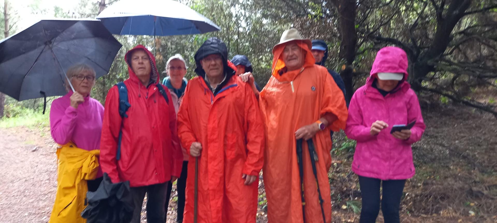 Des lièvres très colorés... le 15 mai sous la pluie wa0000