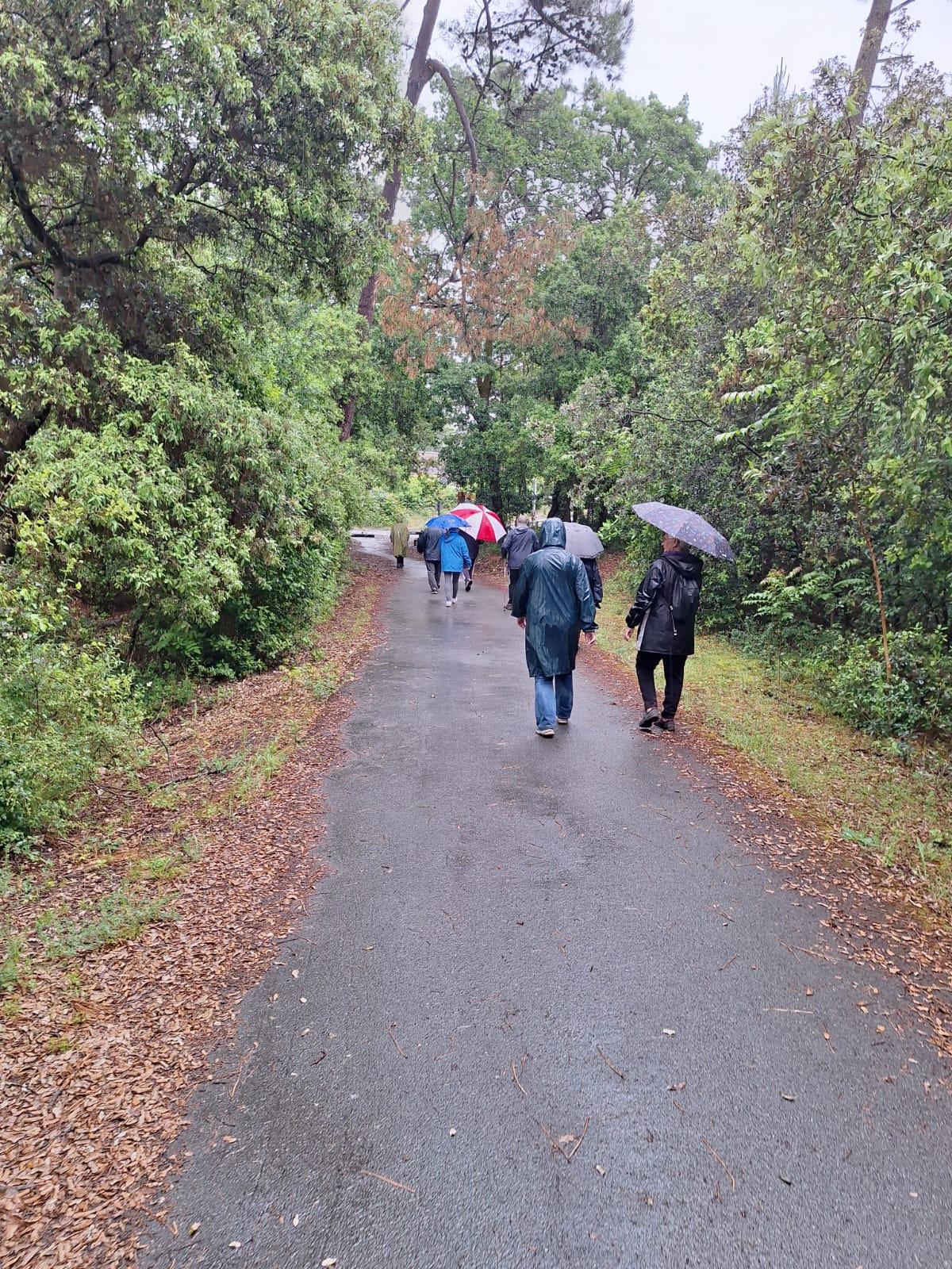 Balade sous la pluie le 29 - wa0002