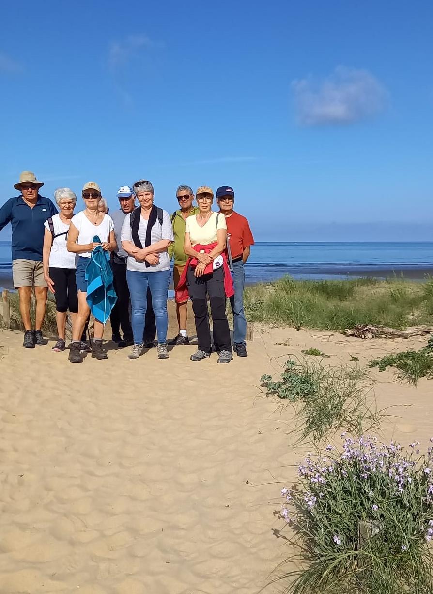 Pause pour les lièvres...