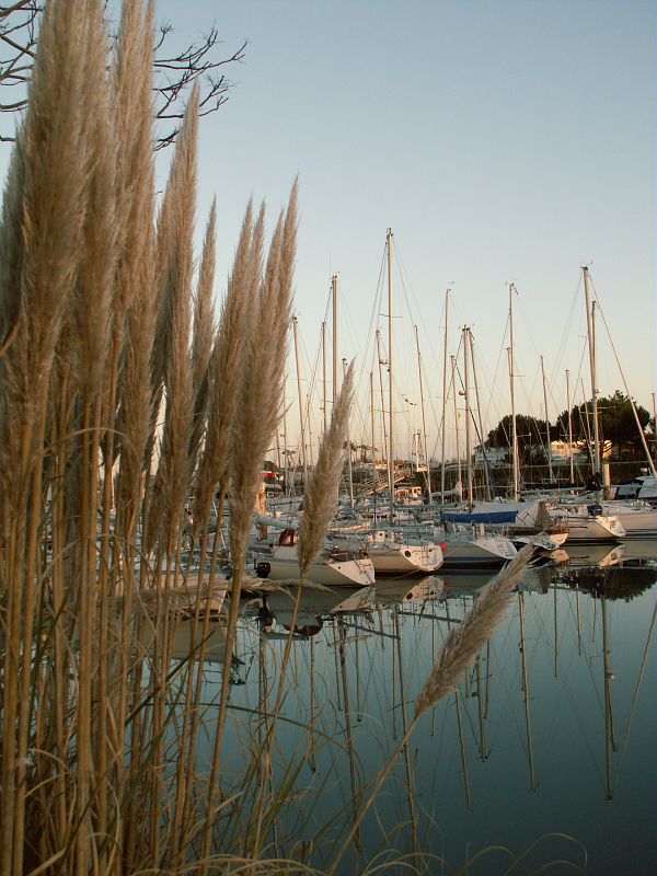 Saint georges d oleron boyardville port de plaisance cmt17 m scattolin