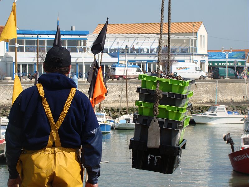 Saint pierre d oleron port de peche de la cotiniere cmt17 e coeffe 2