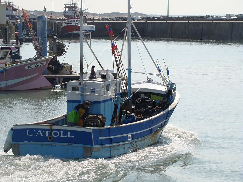 Saint pierre d oleron port de peche de la cotiniere cmt17 e coeffe