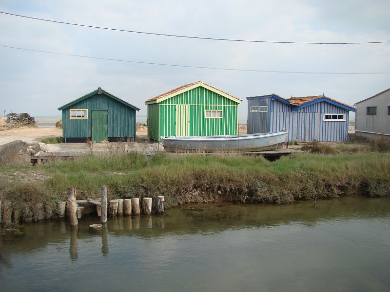 Saint pierre d oleron site de fort royer cmt17 e coeffe