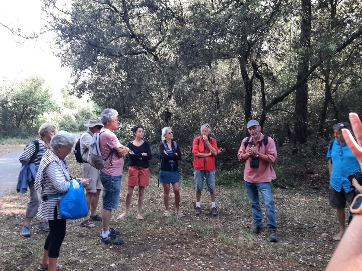 Sortie gravelots du 18 05 2022 1
